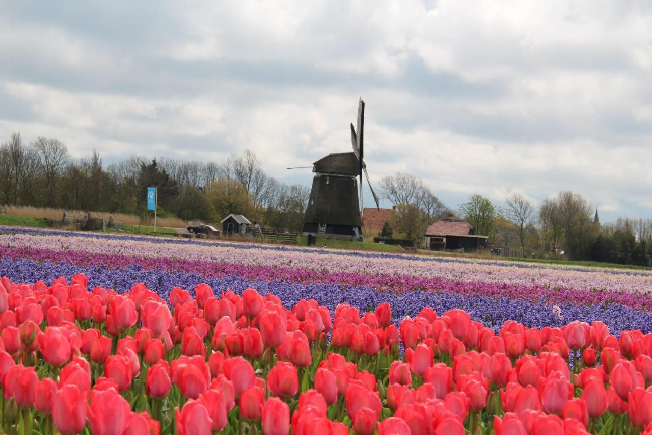 Vogelvrij, Vakantie Woning Met Landelijk Uitzicht En Geheel Omheinde Tuin Burgerbrug Экстерьер фото